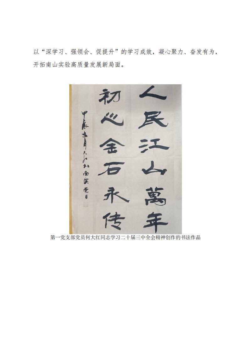 2024.11.29深學(xué)習(xí)、強(qiáng)領(lǐng)會(huì)、促提升南山實(shí)驗(yàn)黨委組織開展黨員干部及全體黨員學(xué)習(xí)貫徹黨的二十屆三中全會(huì)精神專題培訓(xùn)_04.jpg